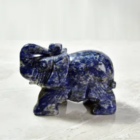 4 Sodalite Elephant Natural Gemstone Carving