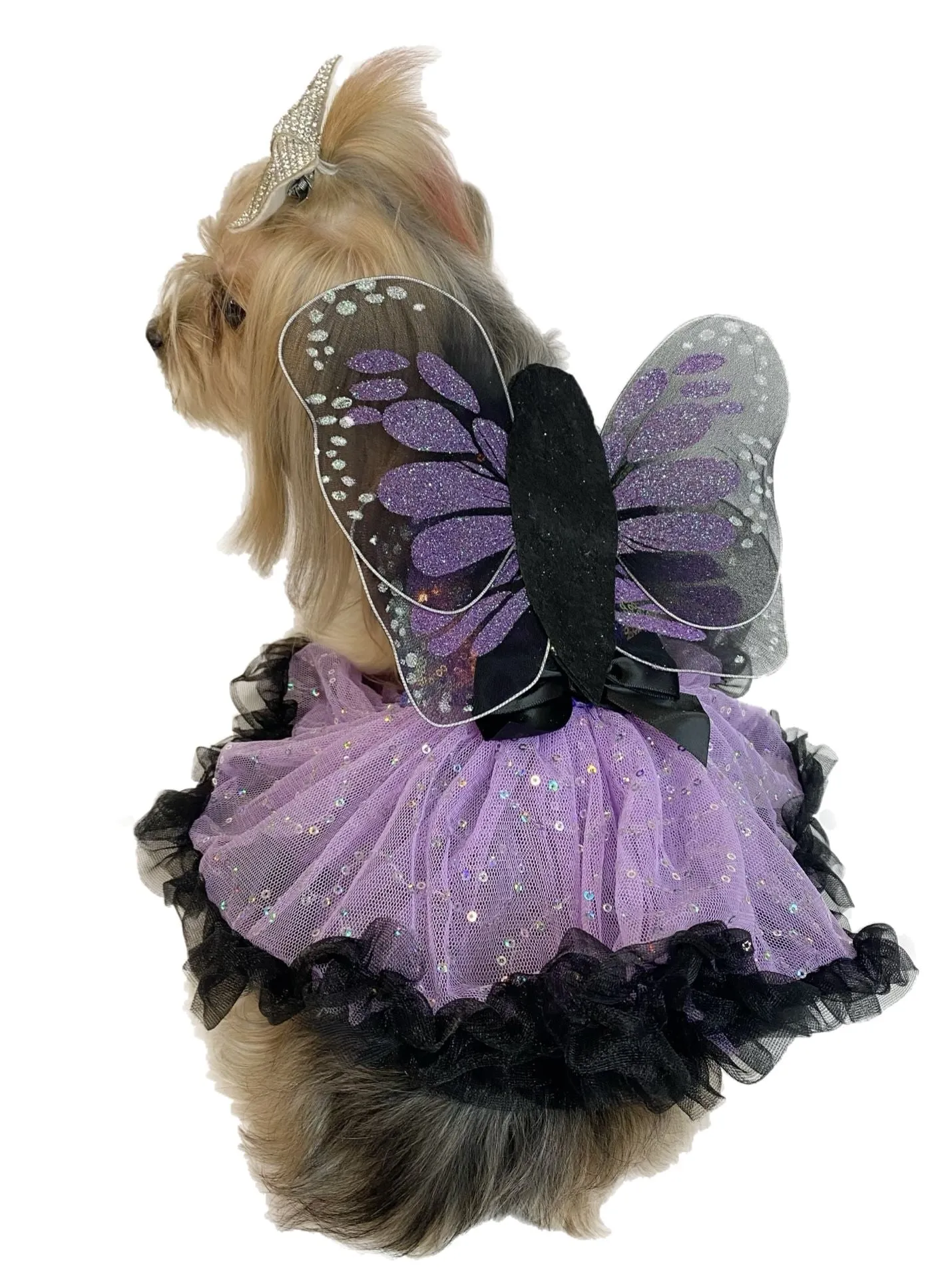 Pawpatu Purple Butterfly Costume Dress for Pets