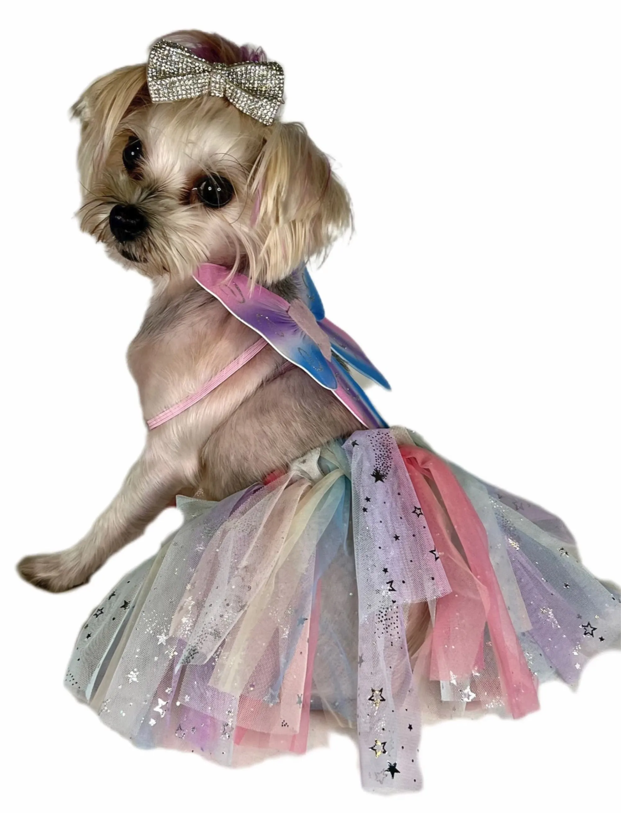 Pawpatu Rainbow Butterfly Pet Costume, Tutu/Wing Set